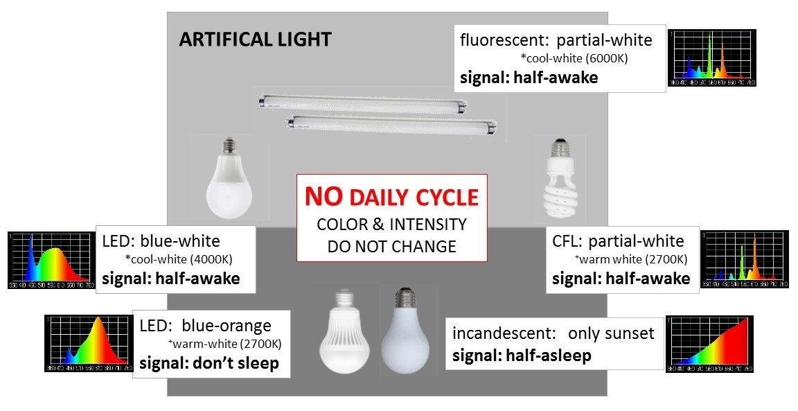 the spectrum of LED, fluorescent and incandescent lights does not change with the time of day