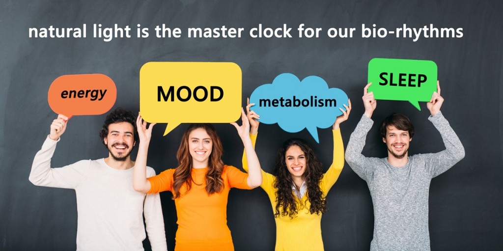 light impacts our energy, mood, metabolism and sleep