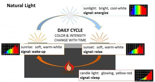 the intensity and color of natural light change with the time of day