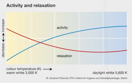 exposure to light correlates with activity and relaxation