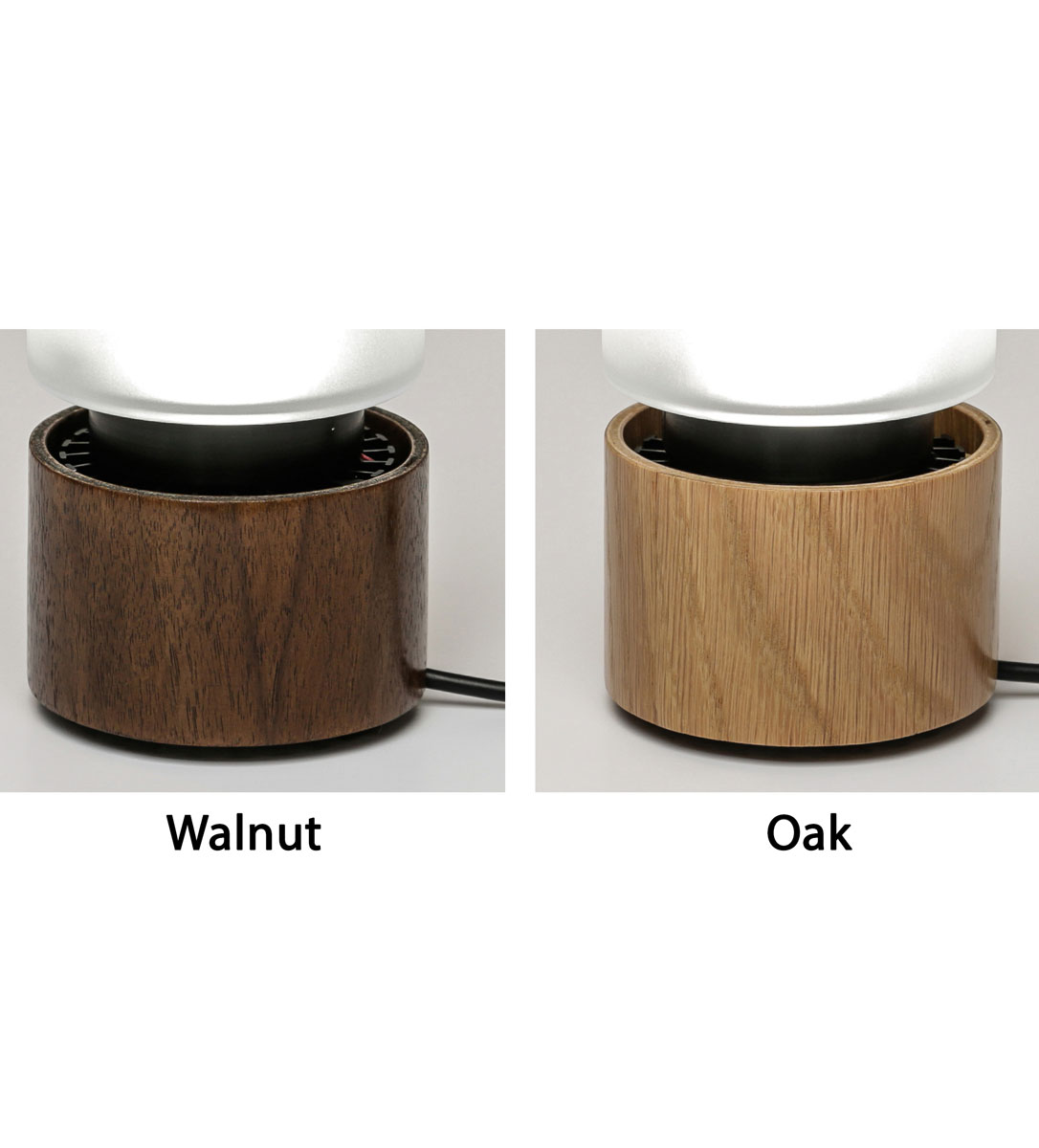 traveling sunshine - Image 6